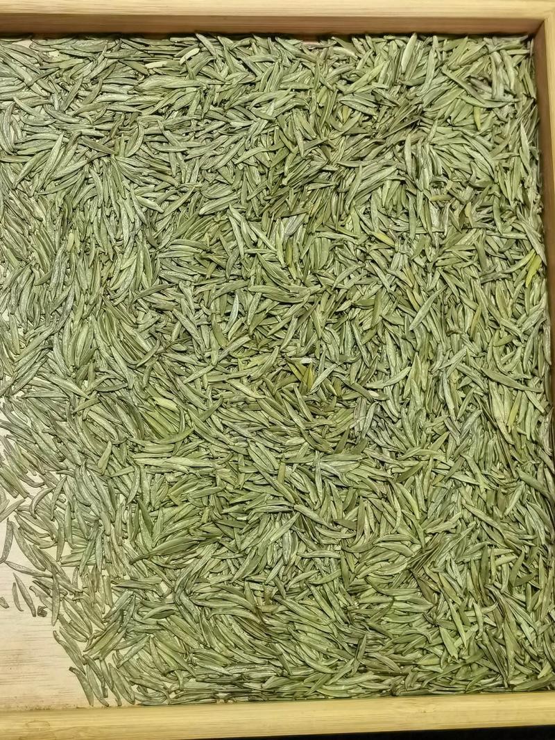 蒙顶山茶叶,气候变暖下的味道变迁